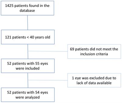 Central retinal vein occlusion in young population: risk factors and outcomes